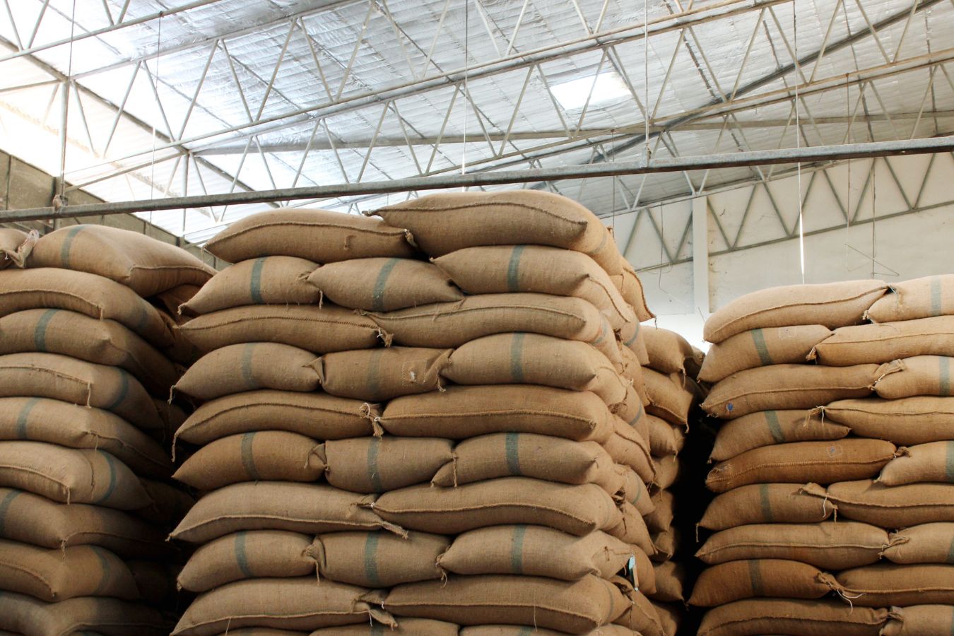 Coffee warehouse